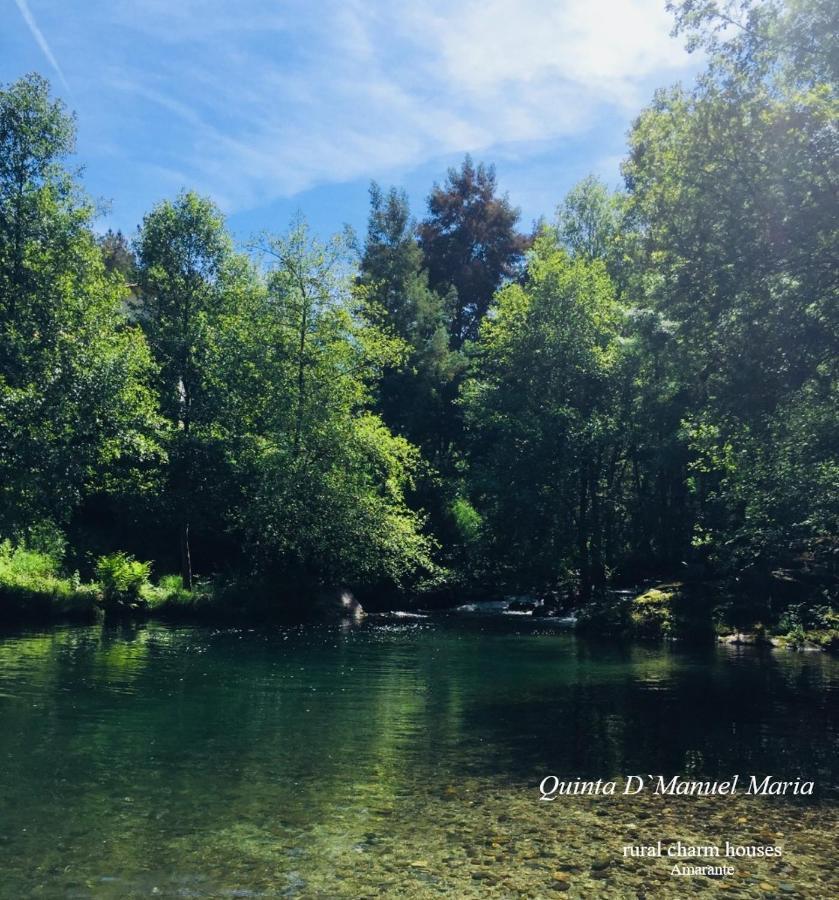 Amarante-Quinta D'Manuel Maria, Rural Charm Houses Екстериор снимка